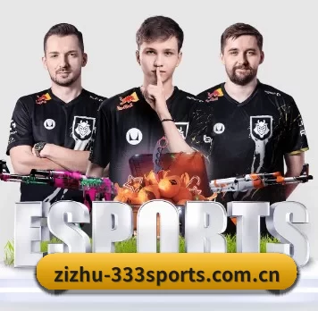 zizhu-333sports.com.cn APP 界面
