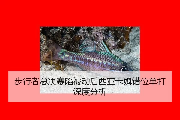 bu-xing-zhe-zong-jue-sai-xian-bei-dong-hou-xi-ya-ka-mu-cuo-wei-dan-da-shen-du-fen-xi-2-887.jpg